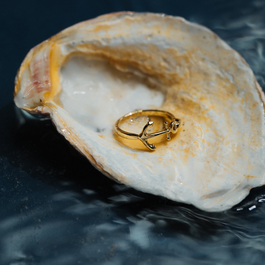 AnchorⅡ マリニウム-Ring-ローズゴールド